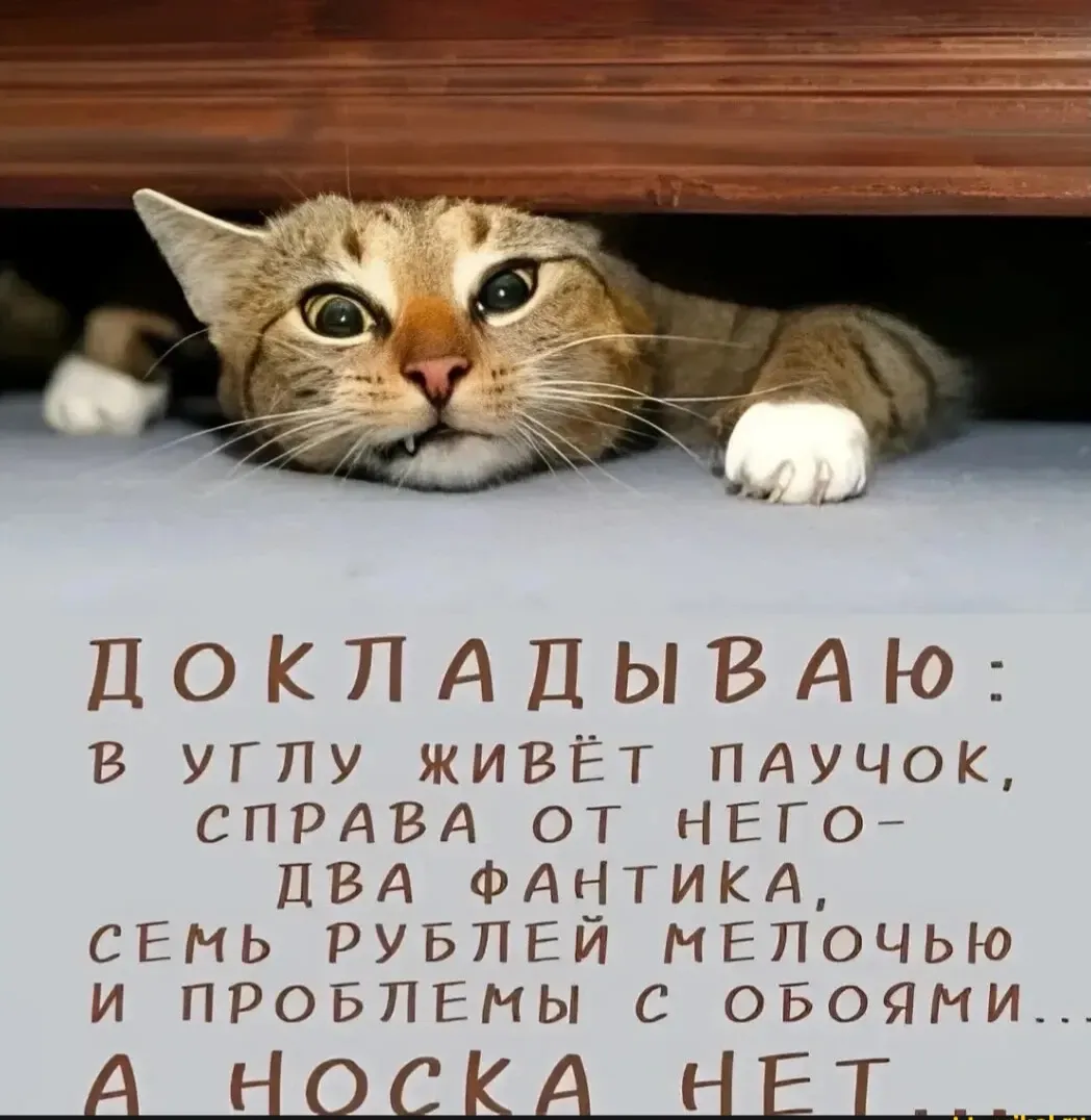 Носка нет!  #1