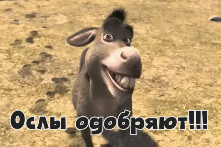 Туристам рекомендовано худеть #1