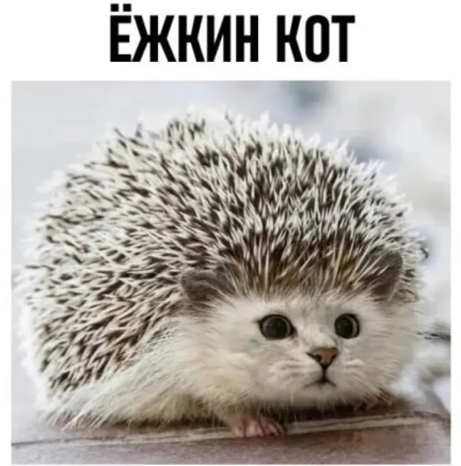 😁 #1