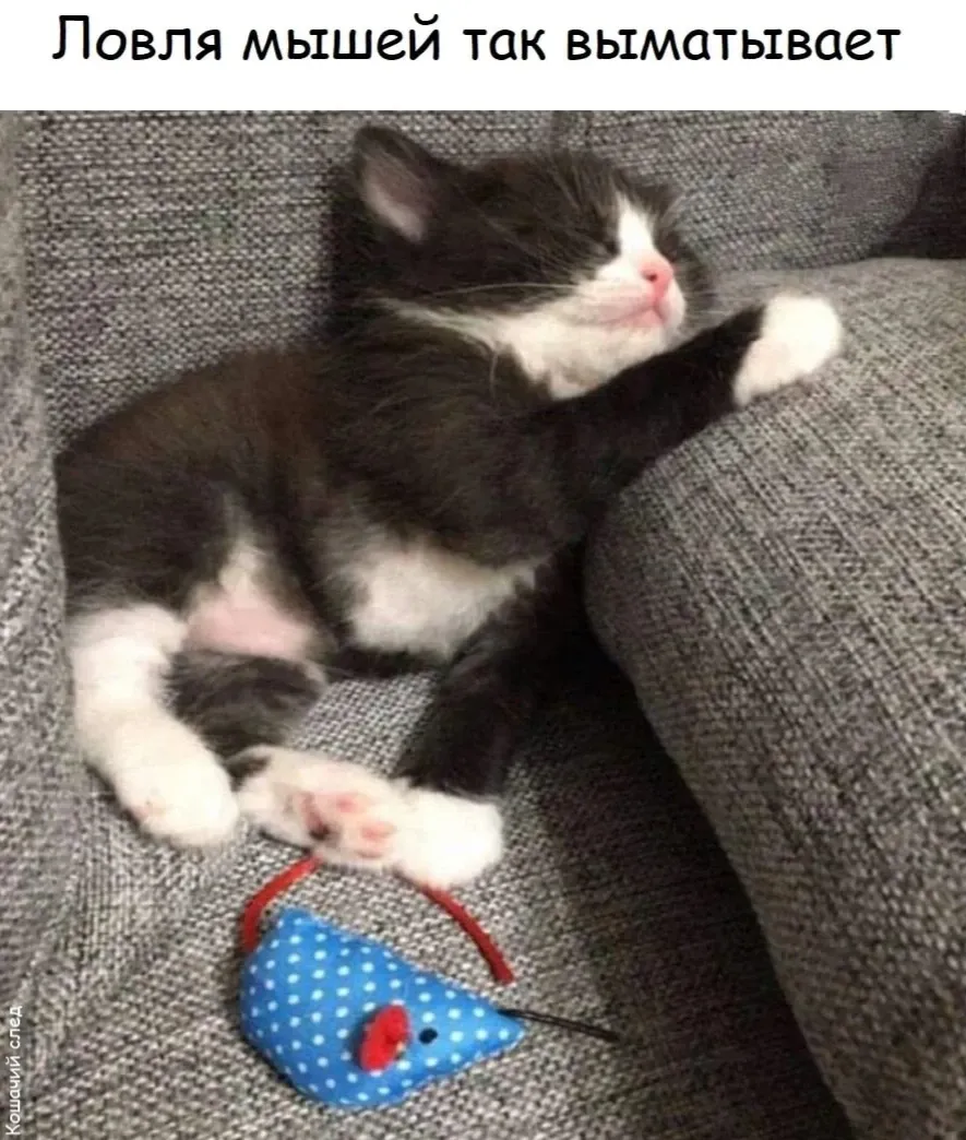 😊 #1