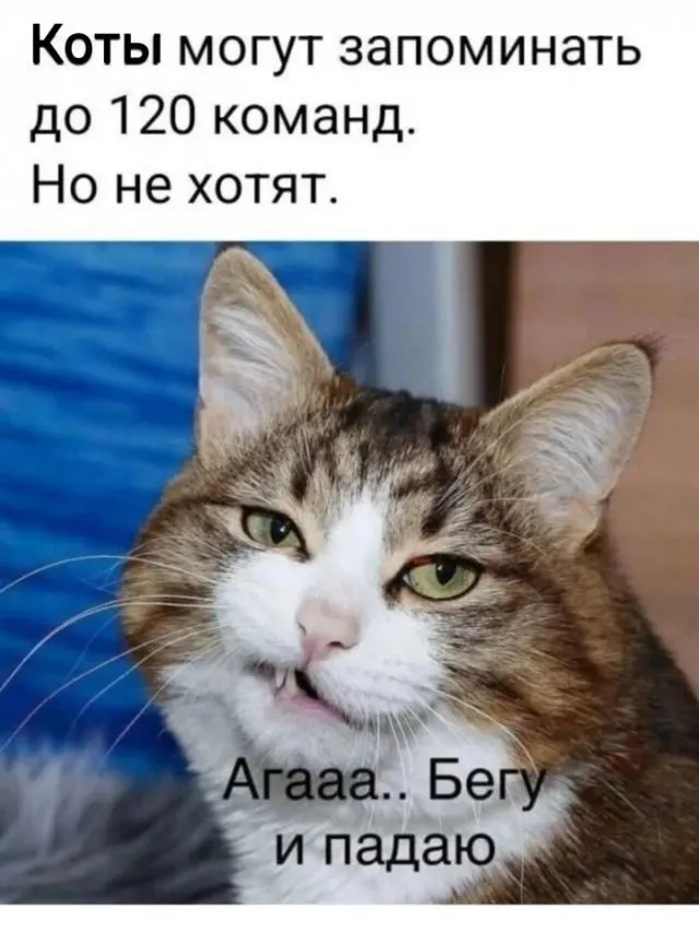 😁 #1