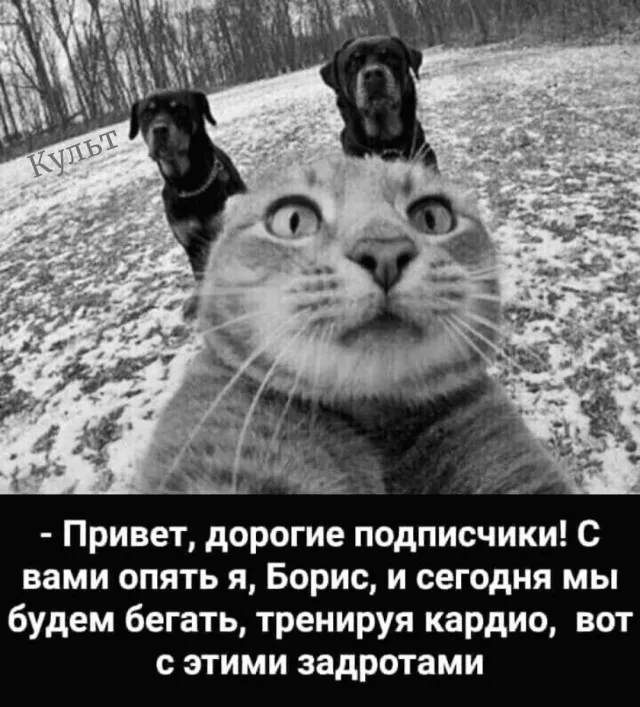 Доброе утро! :) #1