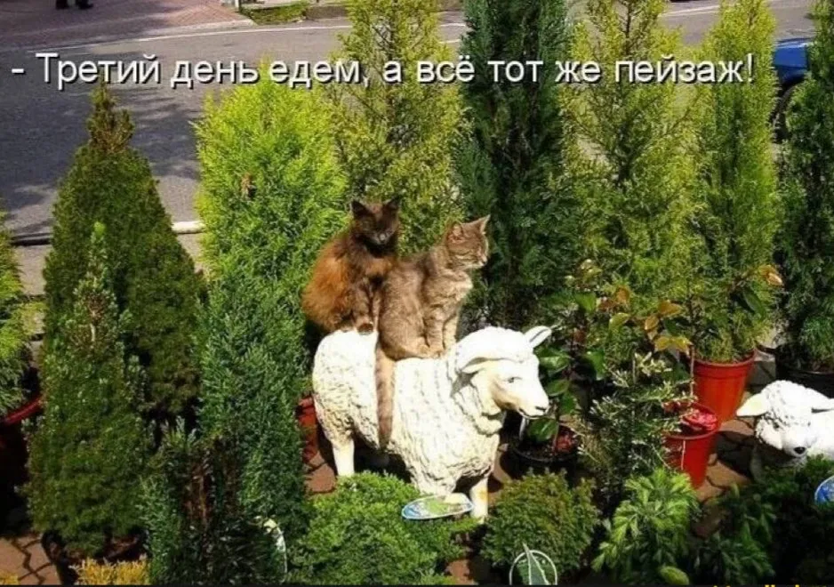 😀 #1