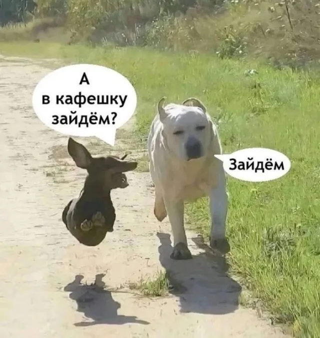 😀 #1