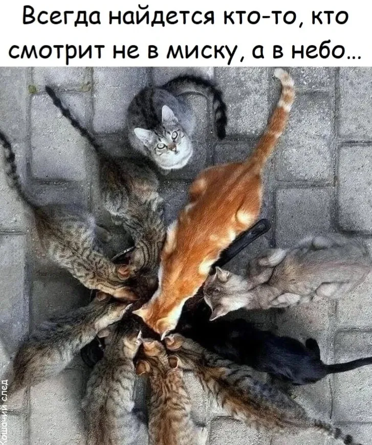 😉 #1