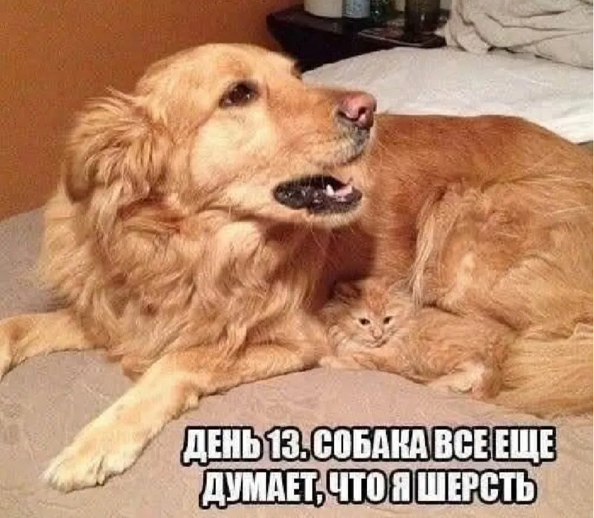 😁 #1