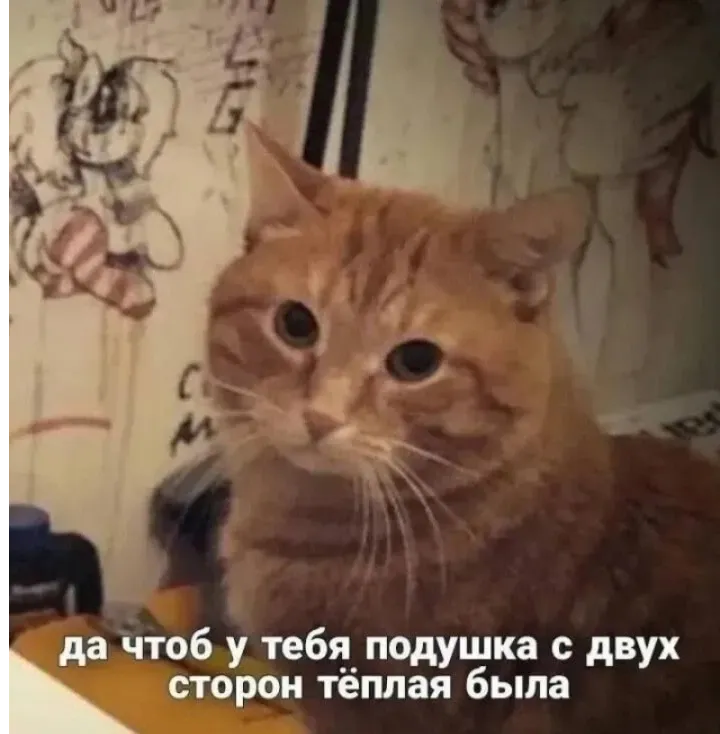 Страшное проклятие при нынешней жаре 😁 #1