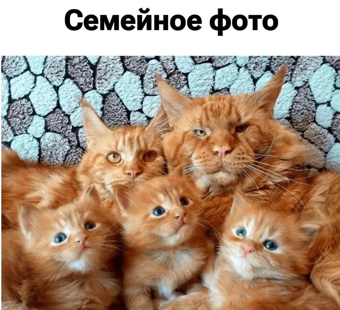 😊 #1
