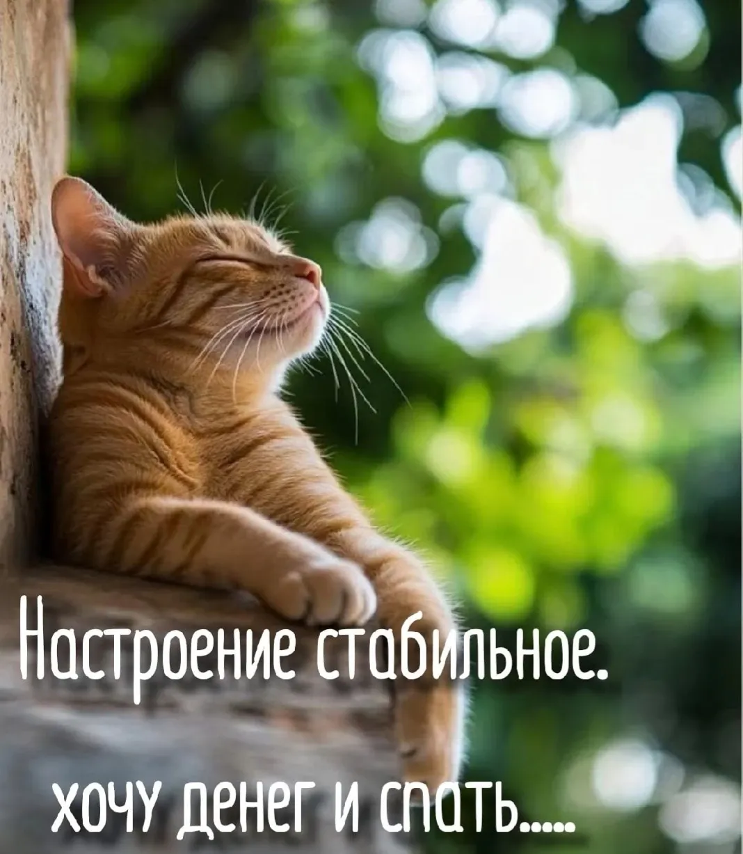 Доброе утро!  #1