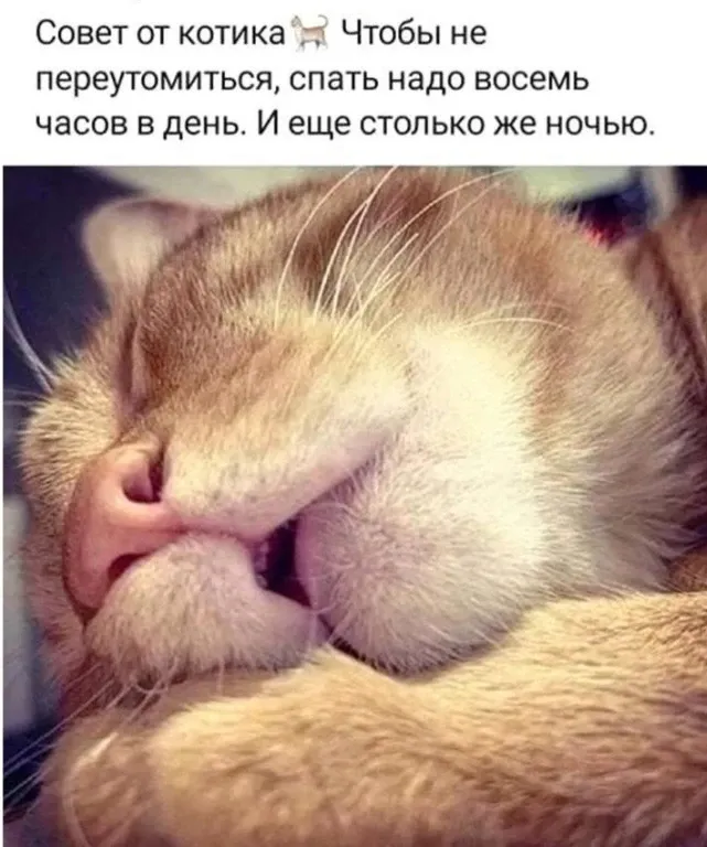 😁 #1