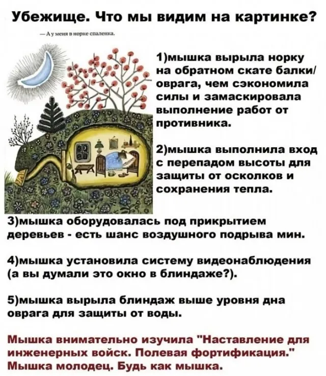 Мышкино убежище #1