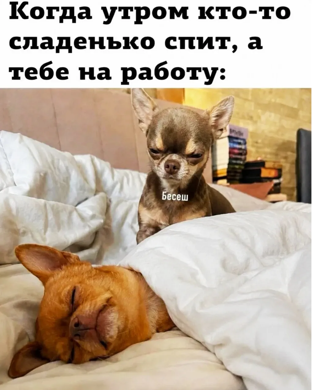 😁 #1