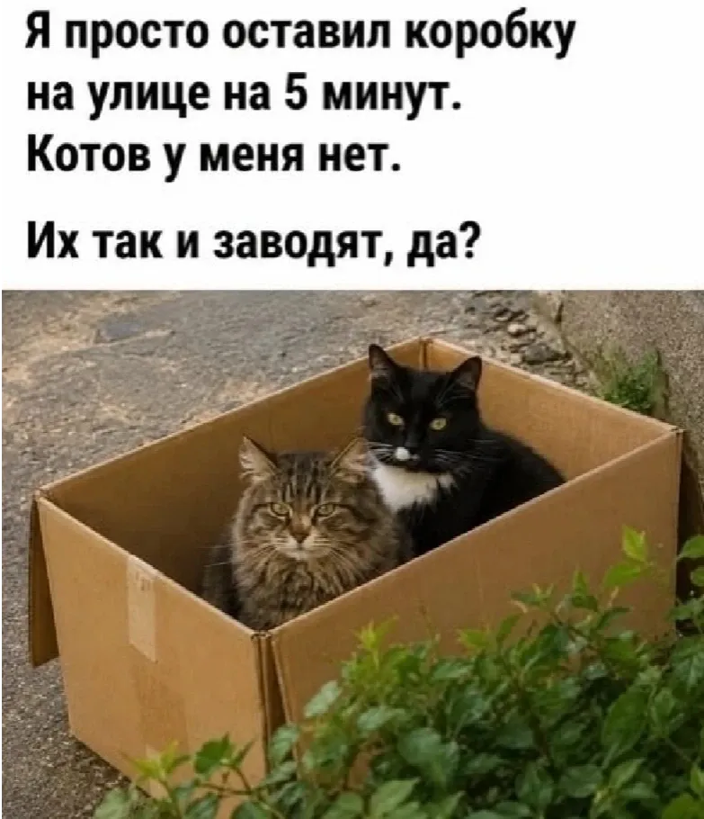 😃 #1