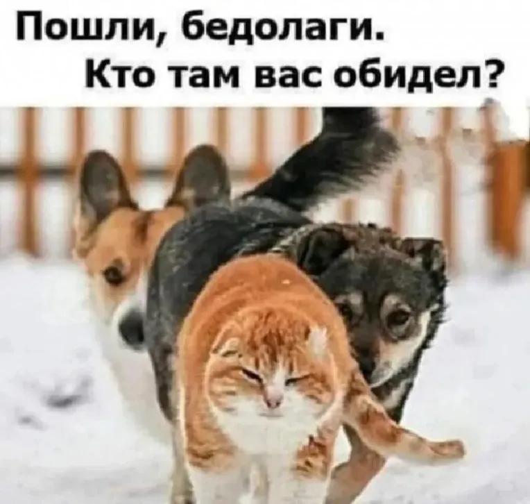 😁 #1