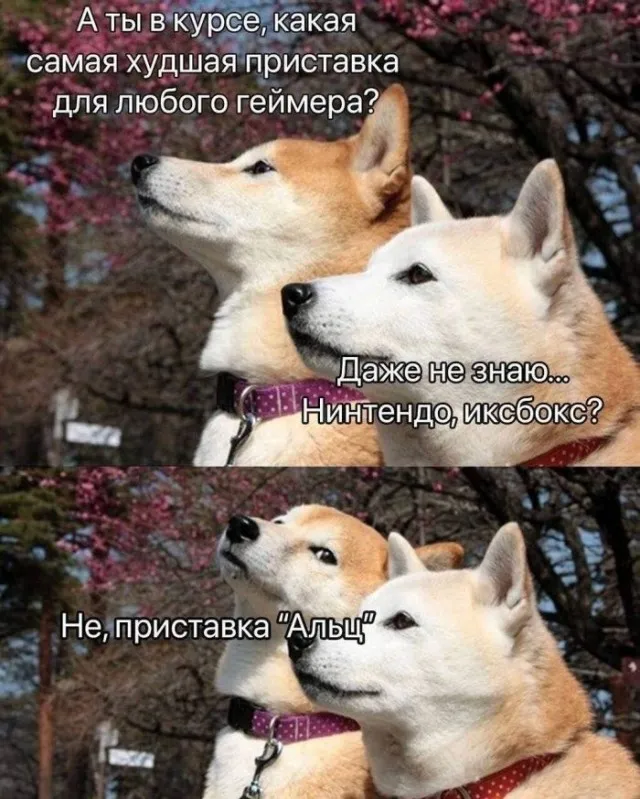 😁 #1