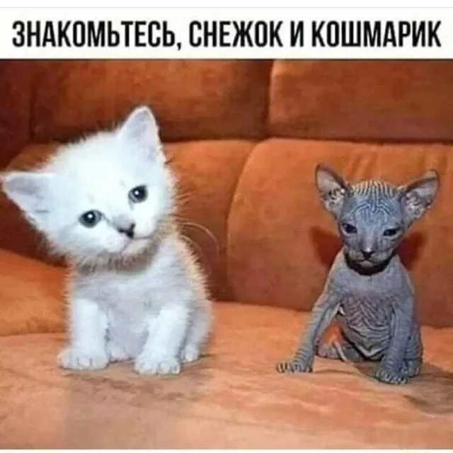😀 #1