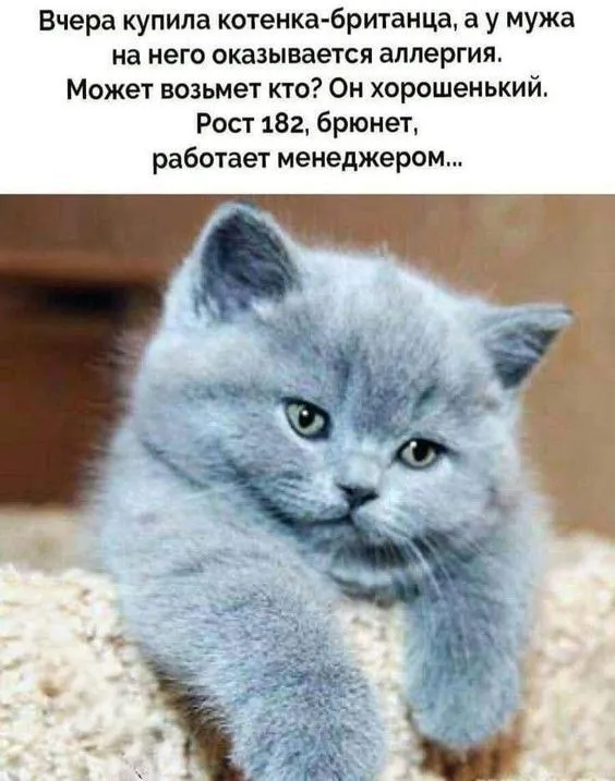 У каждой женщины свои приоритеты #2