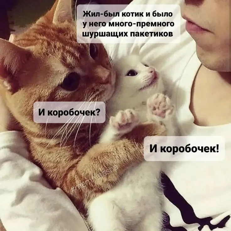 Сказка на ночь :) #1