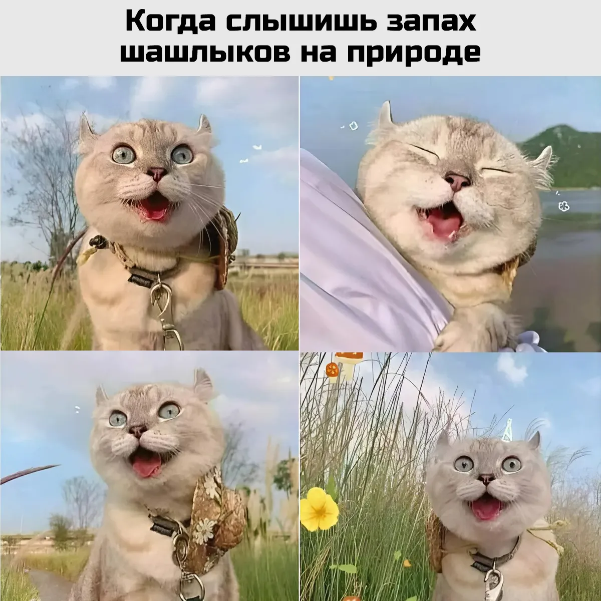 Когда чуешь запахи шашлыков на природе.... #1