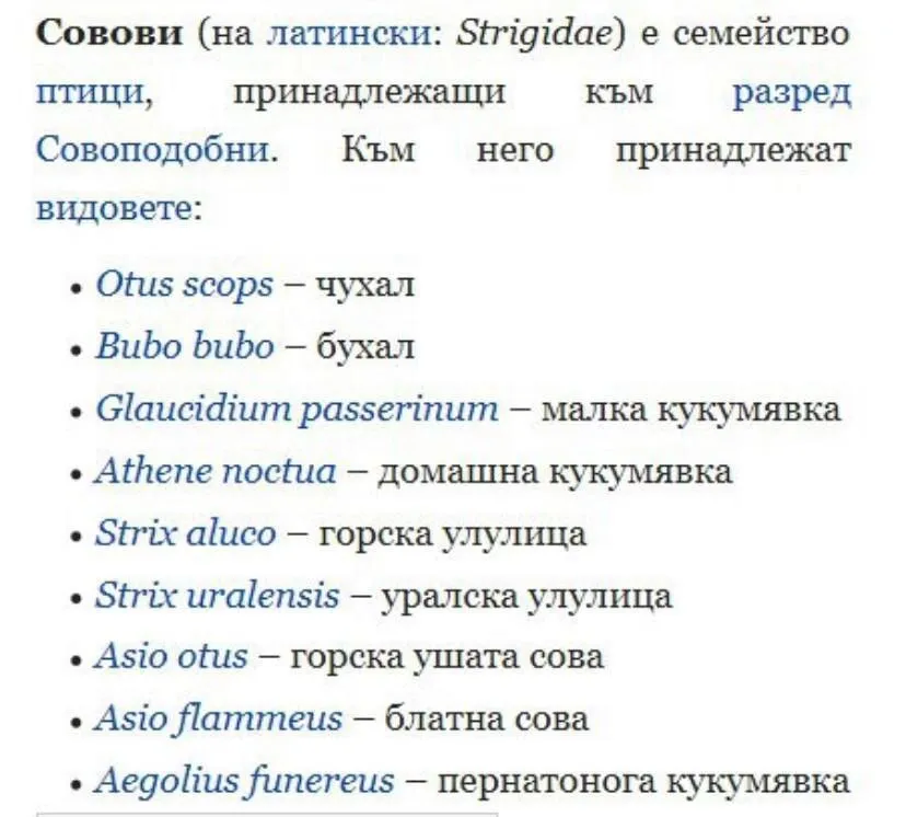 Пернатонога кукумявка - то есть сова :) #2