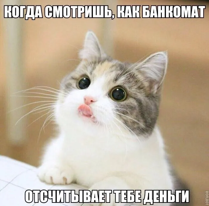 Юмор нумизматики  #1