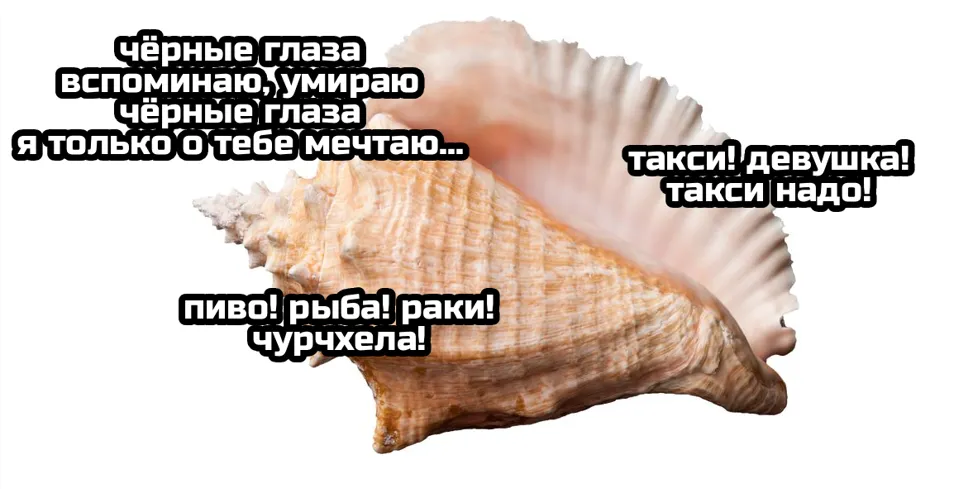 Звуки моря :) #2