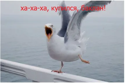 Ошибочка 😀 #1
