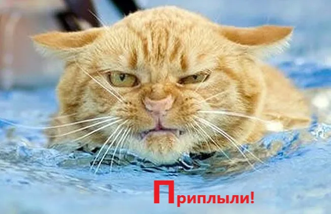 Цель: набрать 5 очков #1