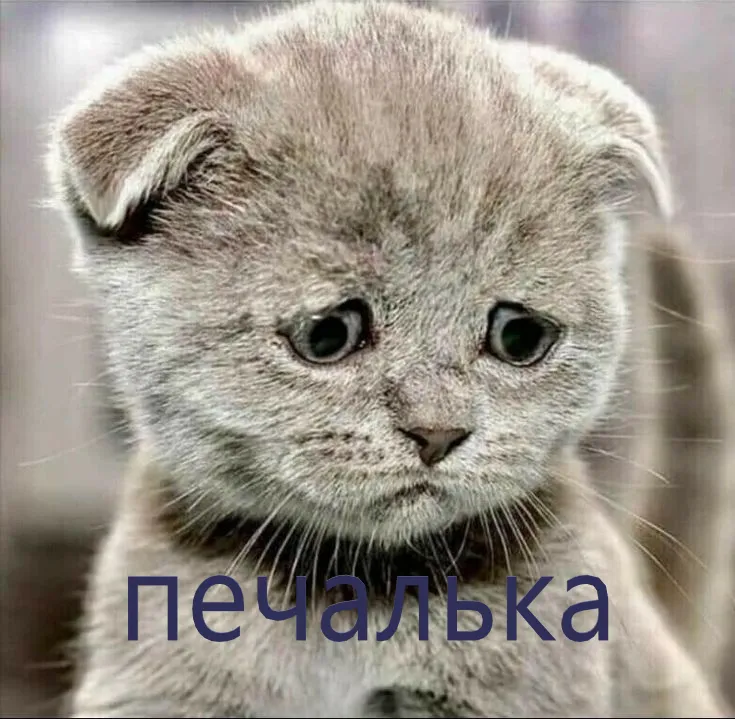 Послезавтра осень #1