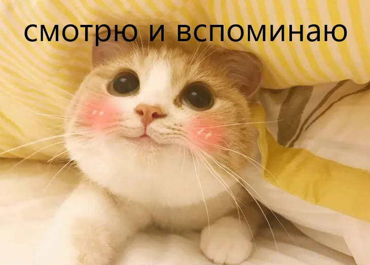 Меня поймут ровесники #1