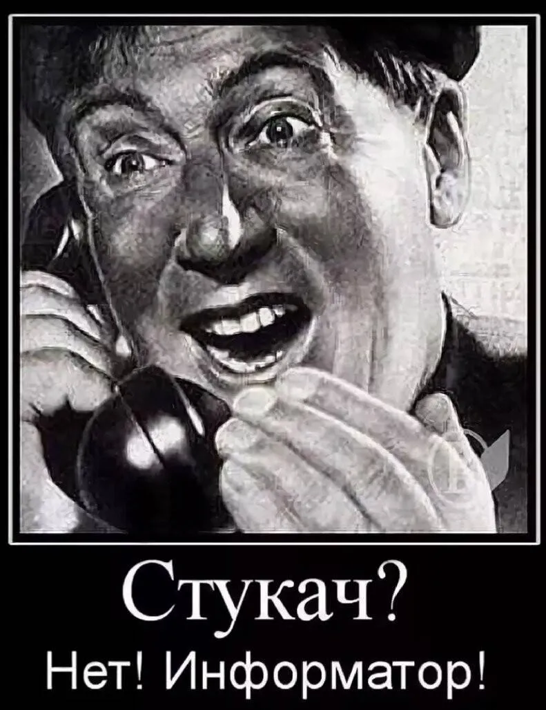 Ябеда-кот - горе в семье (вкл.звук) #1