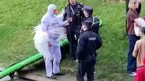 А белый лебедь на пруду... #3