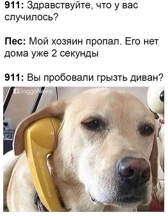 Служба спасения 911 #1