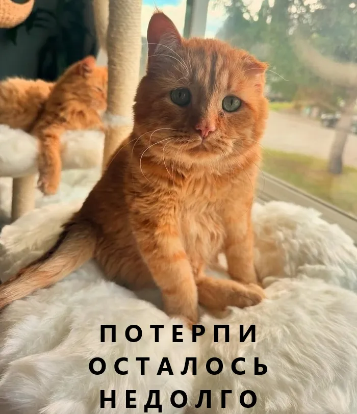 С Добрым Утром🐾 😉👍 #1