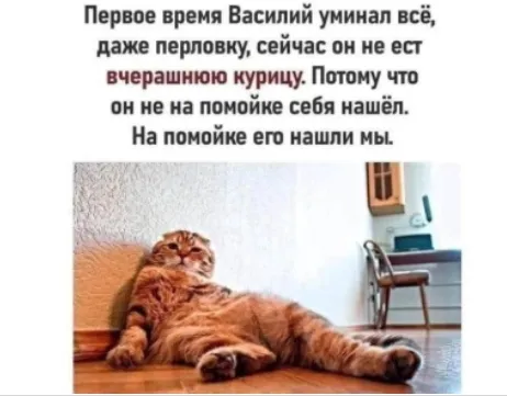 Василий... #1