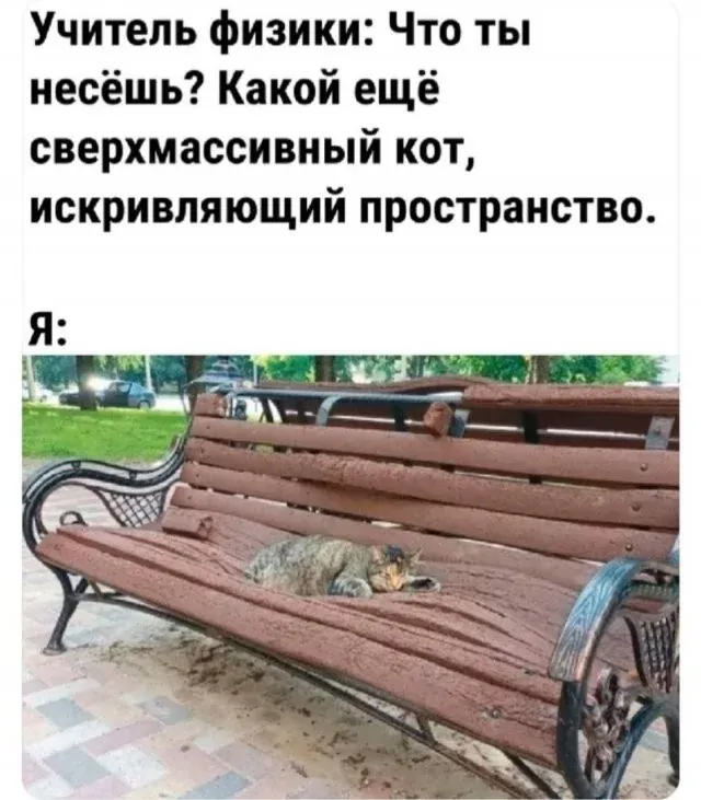 Сверхмассивный кот #1