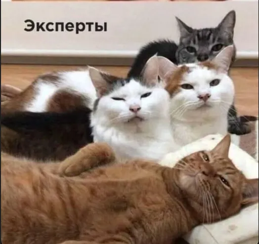 Эксперты  #2