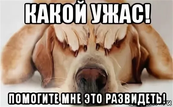 Ужас! Роллы под микроскопом #1