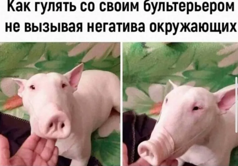 Лайфхак #1