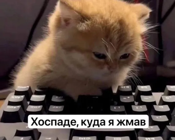 Покупка века! #6