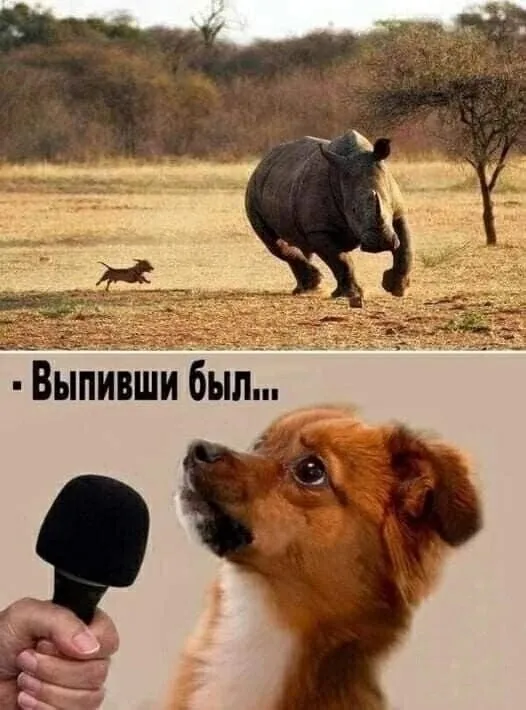 Не, ну а чё он быковать начал... #1