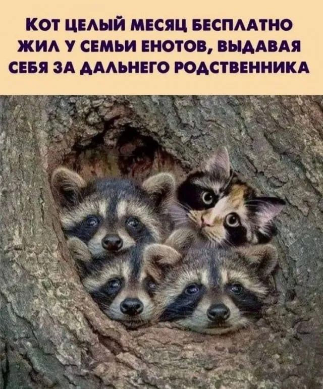😀 #1