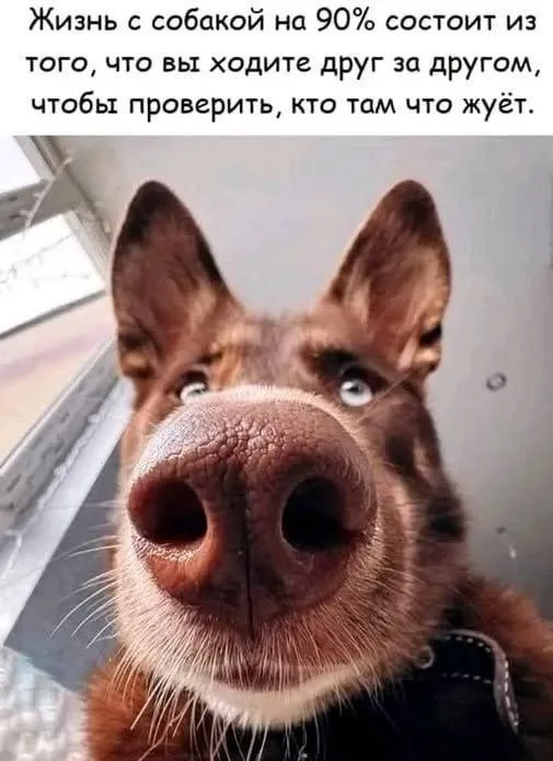 😀 #1
