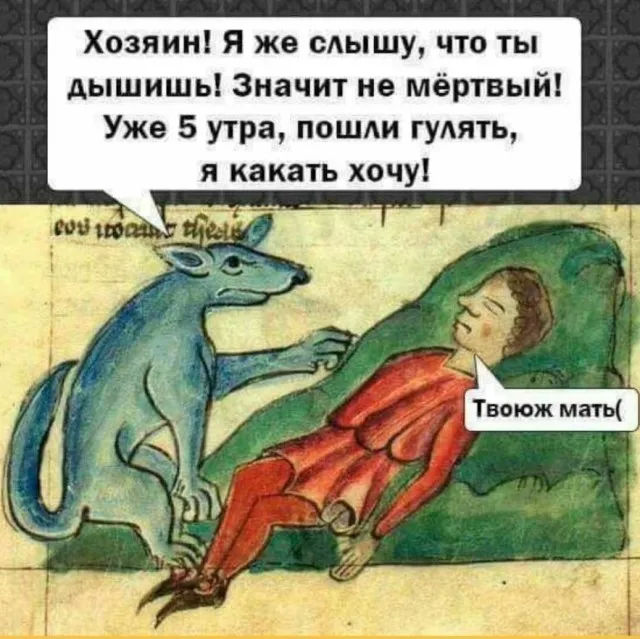 Собак надо выгуливать с утра #1