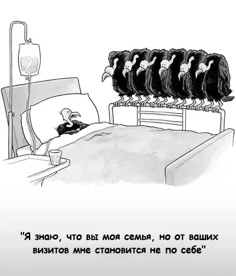 Семья  #1