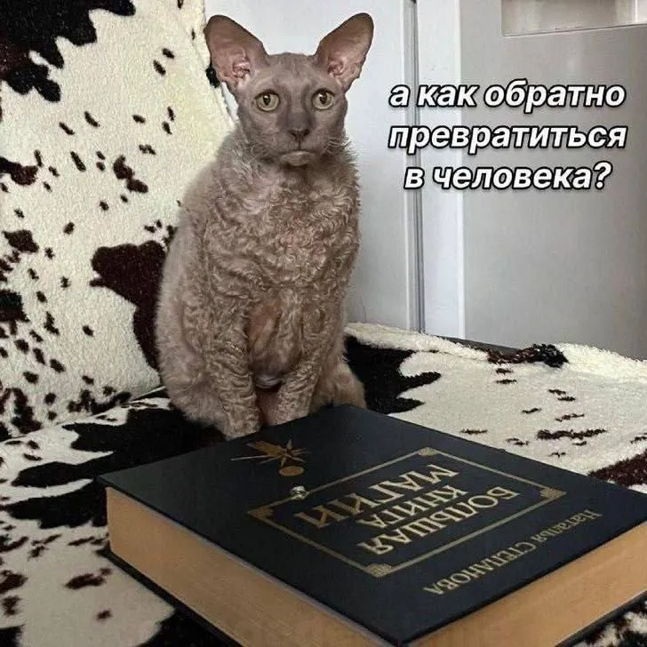 С черной магией шутки плохи #1