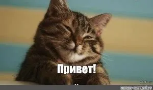 Знакомство: Арсений, 10 лет #1