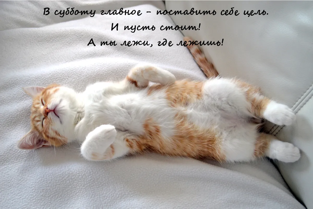 Доброе утро! #1