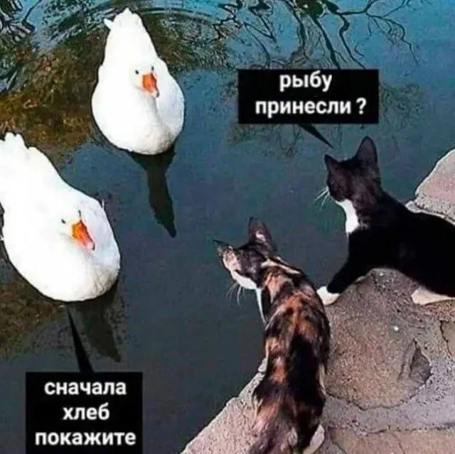 Натуральный обмен :) #1
