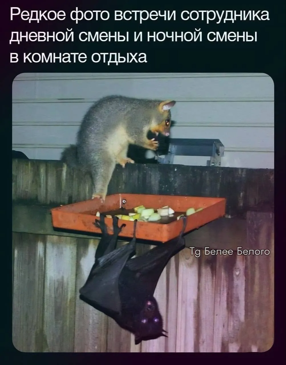 😀 #1